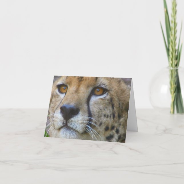 Carte non défini (Devant)