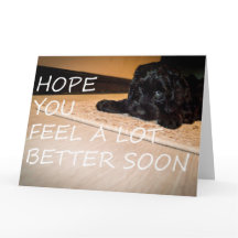 Noodle veut que tu sois meilleur grand