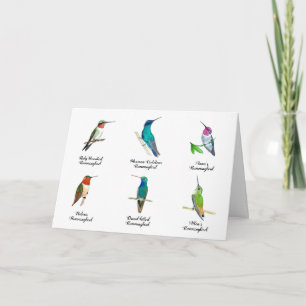 Carte Nord-Américaine des oiseaux de brousse