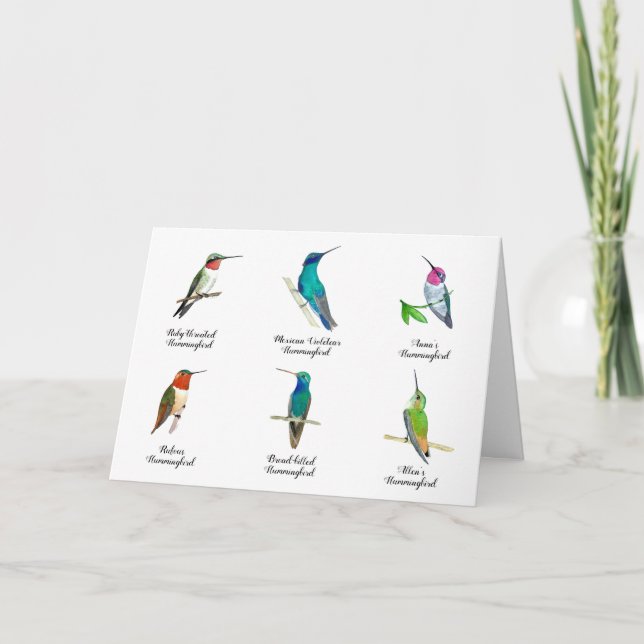 Carte Nord-Américaine des oiseaux de brousse (Devant)