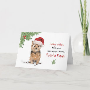 Carte Norfolk Terrier Christmas From Dog à Funny Santa