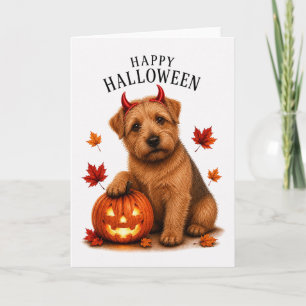 Carte Norfolk Terrier Halloween Diable Chien