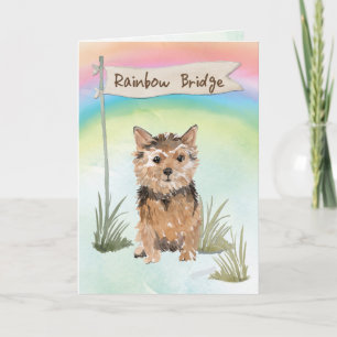 Carte Norfolk Terrier Sympathie des animaux de compagnie