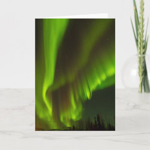Carte Northern Lights   Fairbanks, Alaska