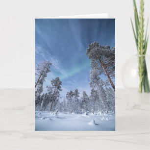 Carte Northern Lights Norvège