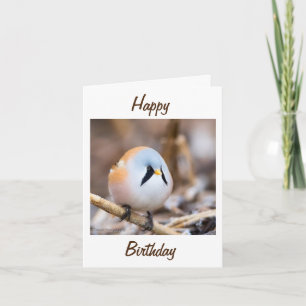 CARTE "NORWAY PHOT" TWEETE HEUREUX AMI D'ANNIVERSAIRE