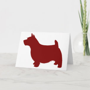 Carte Norwich Terrier