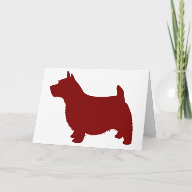 Carte Norwich Terrier (Devant)