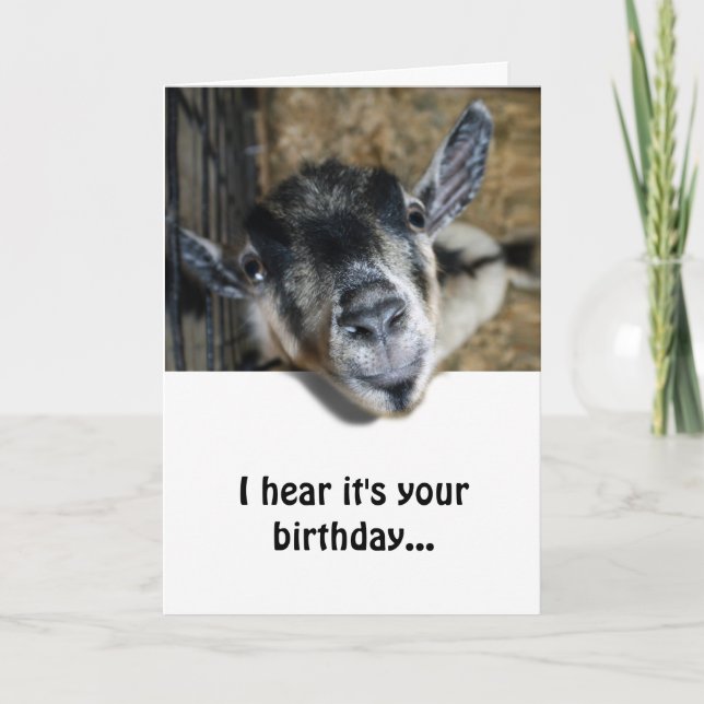 Carte Nosy Chèvre regarde vers le haut - Anniversaire (Devant)