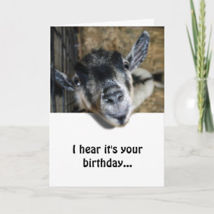 Carte Nosy Chèvre regarde vers le haut - Anniversaire