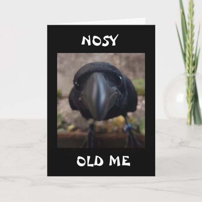 CARTE NOSY CROW DIT "EST-CE VOTRE ANNIVERSAIRE ?" (Devant)