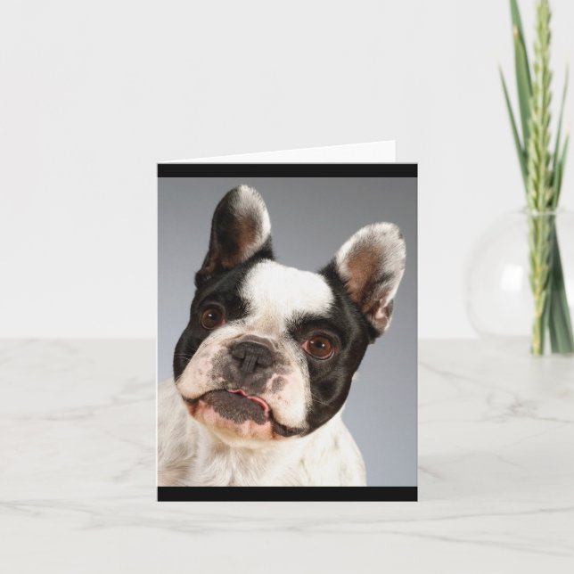 Carte Nota Blank Chien Chien Chien Chien Chien Fra (Devant)
