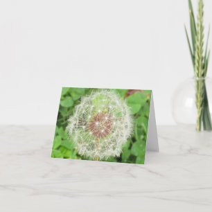 Carte - Note - Bougie de Dandelion