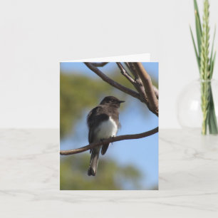 Carte - Note - Catcher
