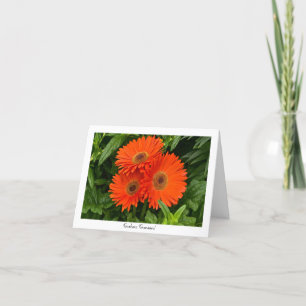 Carte Note collectable de salutation de marguerite