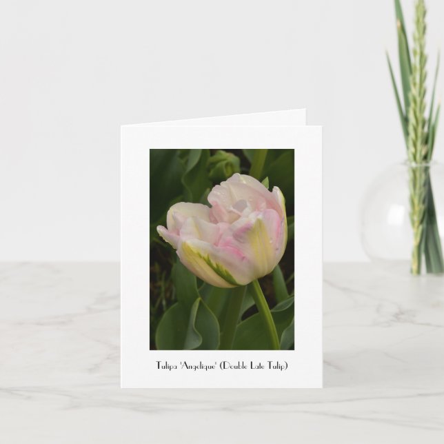 Carte Note de Merci de salutation de tulipe de (Devant)