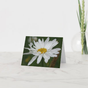 Carte Note de photographie de fleur de marguerite blanch