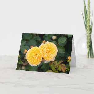 Carte Note Roses jaunes