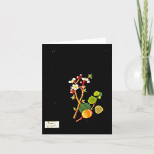 Carte Notecard-Botanical Art-Mary Delany 9