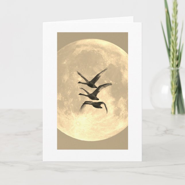 CARTE NOTEE PLIEE CANARD DEVANT PLEINE LUNE (Devant)