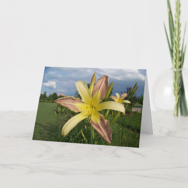 Carte Notes (Devant)