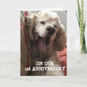 CARTE **NOTRE 1ER ANNIVERSAIRE* REMPLI D'AMOUR / AMUSEME