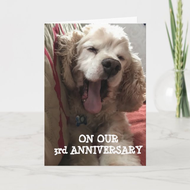 CARTE **NOTRE 3E ANNIVERSAIRE* REMPLI D'AMOUR / AMUSEMEN (Devant)