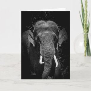 Carte N'oubliez jamais un anniversaire