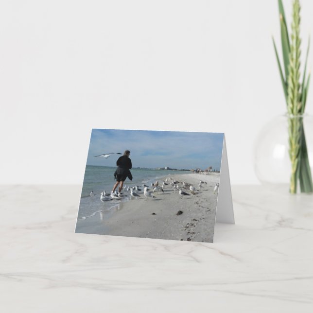 Carte Nourrir les oiseaux @ Sunset Beach (Devant)