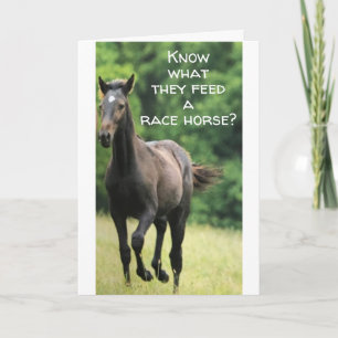 CARTE ***NOURRITURE RAPIDE POUR LE CHEVAL** OBTENEZ CE Q