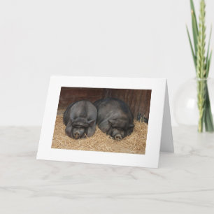 CARTE NOUS FAISONS LA MEILLEURE PAIRE (AMITIÉ)