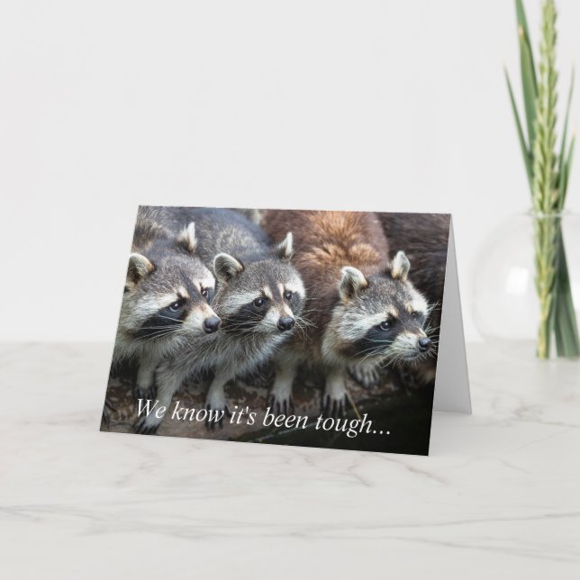 Carte Nous savons que c'est dur Raccoon Group Animals Ca (Devant)
