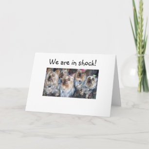 Carte NOUS SOMMES EN CHOC=40e HUMOUR D'ANNIVERSAIRE