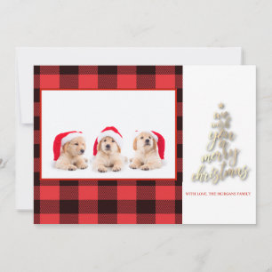 Carte Nous Vous Souhaitons Un Joyeux Buffalo De Noël Pla