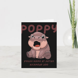 Carte Nouveau bébé hippopotame pygmée à Metro Richmond Z
