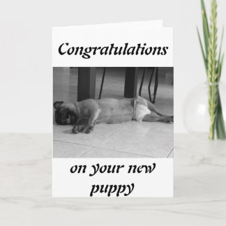 Carte Nouveau chiot