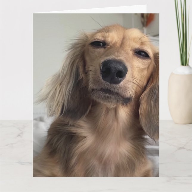 Carte Nouvel anniversaire du chien mignon Dachshund (Devant)