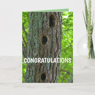 Carte Nouvel arbre d'appartement I