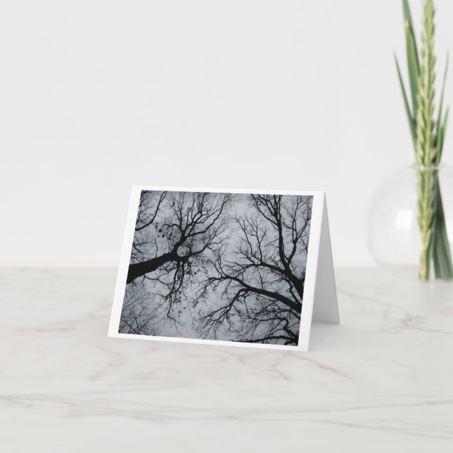 Carte Novembre Ciel à travers les arbres (Devant)