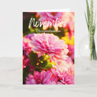 Novembre Pink Chrysanthemum Mois de naissance Fleu