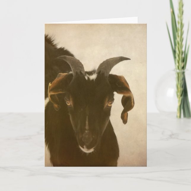 Carte Nubien (Devant)