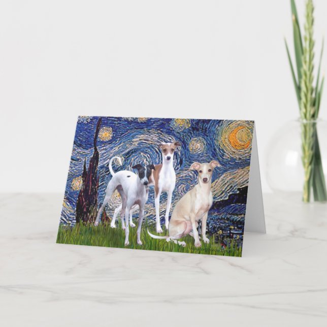 Carte Nuit étoilée - Trois Greyhounds italiens (Devant)