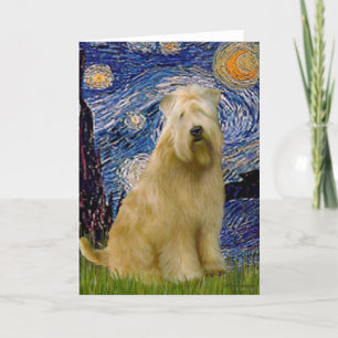 Carte Nuit étoilée (V) - Terrier battu