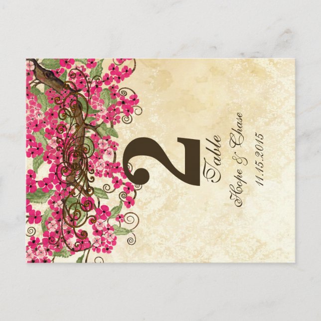 Carte Numéro de table Country Chic Rose Cherry Blo (Devant)