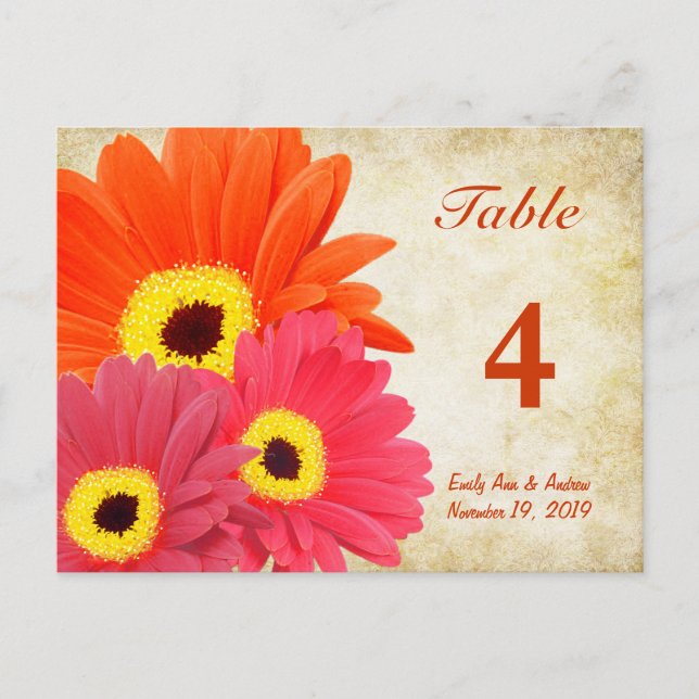 Carte Numéro de table Gerber Daisy (Devant)