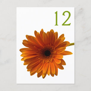 Carte Numéro de table Orange Gerbera Daisy