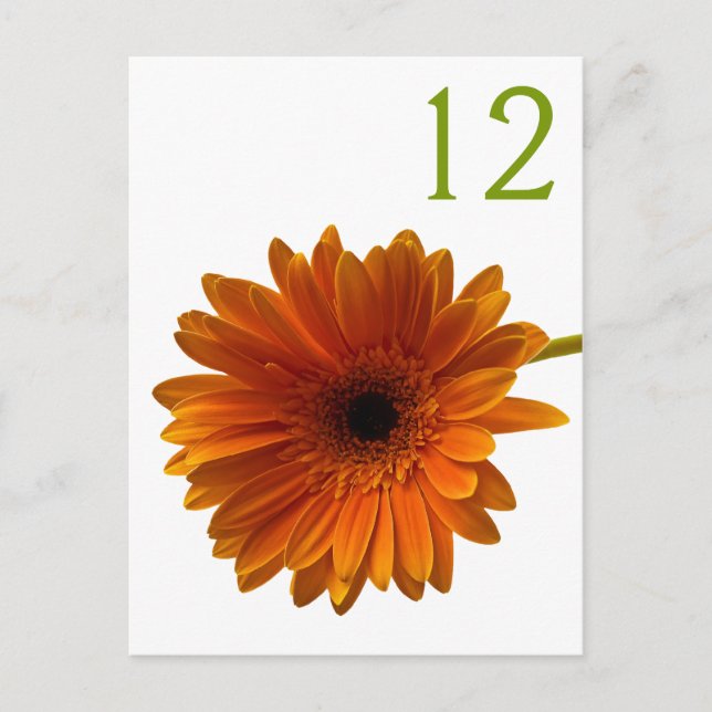 Carte Numéro de table Orange Gerbera Daisy (Devant)