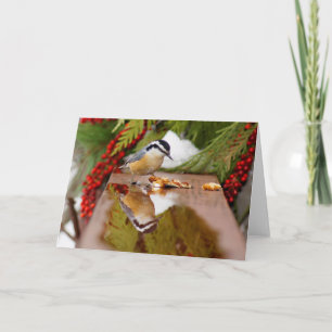 Carte Nuthatch à poitrine rouge