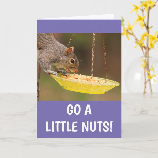 Carte Nutty Squirrel Anniversaire (Fleur jaune)