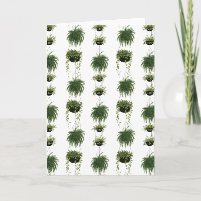 Carte Oasis intérieure | Paniers pendants (Devant)